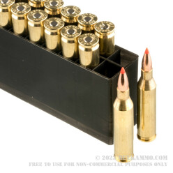 20 Rounds of .243 Win Ammo by Hornady - 75gr V-Max