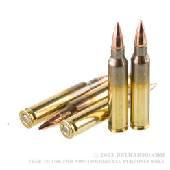 200 Rounds of 5.56x45 Ammo by Ammo Inc. - 62gr FMJ SS109