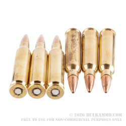 20 Rounds of 5.56x45 Ammo by Barnes Range AR - 52gr OTM