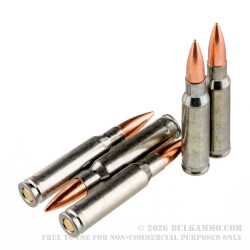 20 Rounds of .308 Win Ammo by Silver Bear - 145gr FMJ