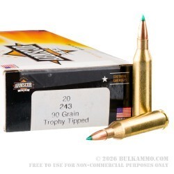200 Rounds of .243 Win Ammo by Armscor USA - 90gr Trophy Tipped