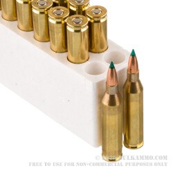 200 Rounds of .243 Win Ammo by Armscor USA - 90gr Trophy Tipped