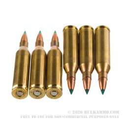 200 Rounds of .243 Win Ammo by Armscor USA - 90gr Trophy Tipped