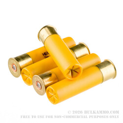 250 Rounds of 20ga Ammo by Hevi-Shot - 1 ounce #4 shot 250 Rounds of 20ga Ammo by Hevi-Shot - 1 ounce #4 shot