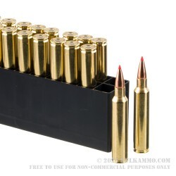 20 Rounds of .300 Win Mag Ammo by Hornady American Whitetail Tipped - 165gr SST