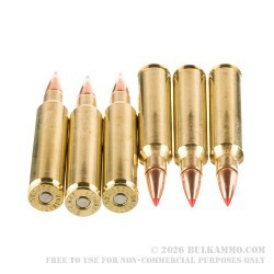 20 Rounds of .300 Win Mag Ammo by Hornady American Whitetail Tipped - 165gr SST