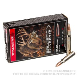 20 Rounds of 30-06 Springfield Ammo by Winchester Ballistic Silvertip - 180gr Polymer Tipped