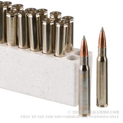 20 Rounds of 30-06 Springfield Ammo by Winchester Ballistic Silvertip - 180gr Polymer Tipped