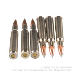 20 Rounds of 30-06 Springfield Ammo by Winchester Ballistic Silvertip - 180gr Polymer Tipped