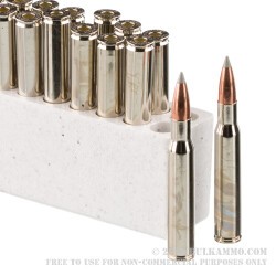 20 Rounds of 30-06 Springfield Ammo by Winchester Ballistic Silvertip - 150gr Polymer Tipped