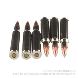 20 Rounds of 30-06 Springfield Ammo by Winchester Ballistic Silvertip - 150gr Polymer Tipped