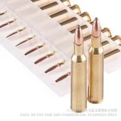 20 Rounds of 6 mm Rem Ammo by Federal - 100gr SP