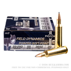 20 Rounds of .22-250 Rem Ammo by Fiocchi - 55gr PSP