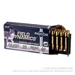 20 Rounds of .22-250 Rem Ammo by Fiocchi - 55gr PSP