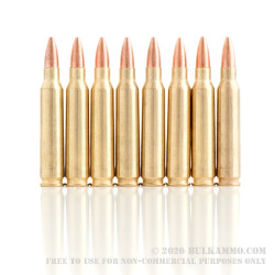20 Rounds of .223 Ammo by Golden Bear - 62gr HP
