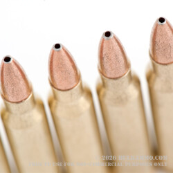 20 Rounds of .223 Ammo by Golden Bear - 62gr HP