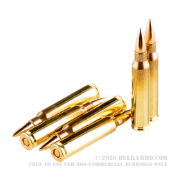 1000 Rounds of 5.56x45 Ammo by Magtech - 55gr FMJ M193