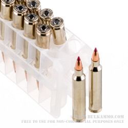 20 Rounds of .204 Ruger Ammo by Federal - 32 gr Nosler Ballistic Tip