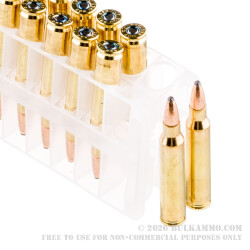 20 Rounds of .223 Ammo by Federal - 55gr SP 20 Rounds of .223 Ammo by Federal - 55gr SP