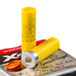 25 Rounds of 20ga Ammo by Winchester - 3/4 ounce #6 Shot (Steel)