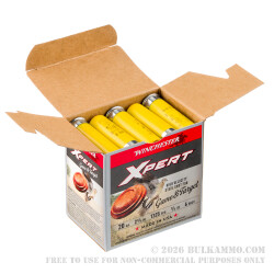 25 Rounds of 20ga Ammo by Winchester - 3/4 ounce #6 Shot (Steel)