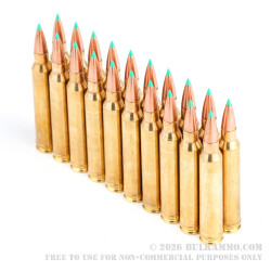 20 Rounds of .300 Win Mag Ammo by Sellier & Bellot - 180gr Polymer Tipped