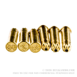 50 Rounds of .22 LR Ammo by Winchester -  #12 shot