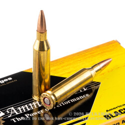 20 Rounds of .243 Win Ammo by Black Hills Gold Ammunition - 85gr TSX