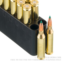 20 Rounds of .243 Win Ammo by Sig Sauer Elite Hunter - 90gr Controlled Expansion Tip 20 Rounds of .243 Win Ammo by Sig Sauer Elite Hunter - 90gr Controlled Expansion Tip