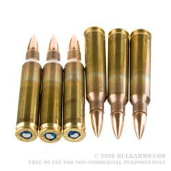 1000 Rounds of 5.56x45 Ammo by Federal American Eagle - 55gr FMJ