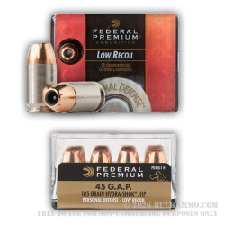 200 Rounds of .45 GAP Ammo by Federal - 185gr JHP