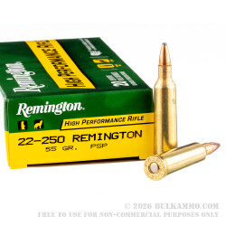 20 Rounds of .22-250 Rem Ammo by Remington - 55gr PSP