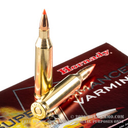 20 Rounds of .243 Win Ammo by Hornady Superformance Varmint - 58 Grain V-Max