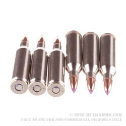 20 Rounds of .243 Win Ammo by Federal Vital-Shok - 55gr Nosler Ballistic Tip