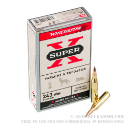 20 Rounds of .243 Win Ammo by Winchester - 80gr SP