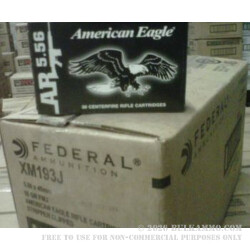 900 Rounds of XM193 5.56x45 Ammo by Federal - 55gr FMJBT - Stripper Clips