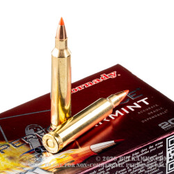 20 Rounds of .204 Ruger Ammo by Hornady - 32gr Vmax