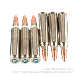 200 Rounds of .223 Ammo by Federal - 55gr TSX 200 Rounds of .223 Ammo by Federal - 55gr TSX