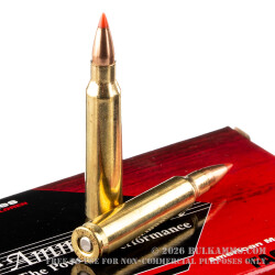 50 Rounds of .223 Ammo by Black Hills Ammunition - 50gr V-Max