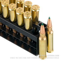 20 Rounds of .308 Win Ammo by Remington Core-Lokt Tipped - 180gr Polymer Tipped