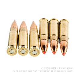 200 Rounds of .300 AAC Blackout Ammo by Hornady Custom - 135gr FTX