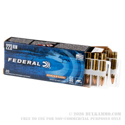 20 Rounds of .223 Ammo by Federal - 55gr SP