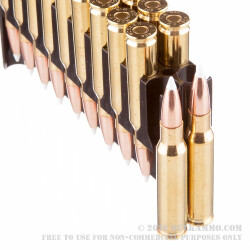 20 Rounds of .308 Win Ammo by Nosler Ammunition - 165gr Nosler Accubond