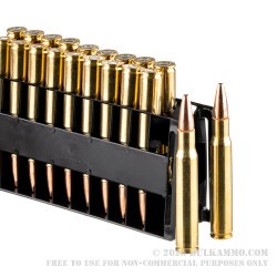 200 Rounds of 30-06 Springfield Ammo by Federal Fusion - 150gr Bonded SP