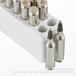 20 Rounds of .243 Win Ammo by Winchester Ballistic Silvertip - 55gr Polymer Tipped