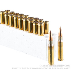20 Rounds of 7.62x51mm Ammo by Winchester - 147gr FMJ