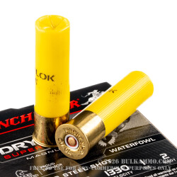 25 Rounds of 20ga Ammo by Winchester Drylock - 3" 1 ounce #2 Shot