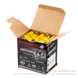 25 Rounds of 20ga Ammo by Winchester Drylock - 3" 1 ounce #2 Shot