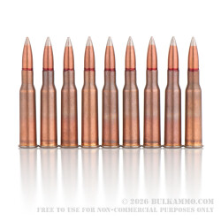 880 Rounds of 7.62x54r Ammo by Bulgarian Surplus - 147gr FMJ