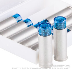 10 Rounds of .45 Long-Colt Ammo by CCI - 150gr #9 shot